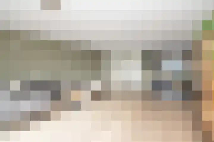 De Vooruitgang 29 Wervershoof thumbnail 8