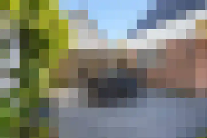 De Voorzoom 19 Buitenpost thumbnail 26