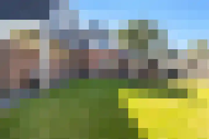 De Voorzoom 19 Buitenpost foto 3