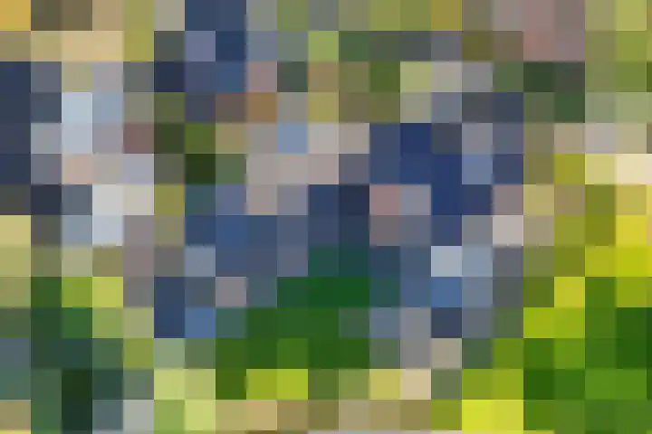 De Voorzoom 19 Buitenpost thumbnail 4