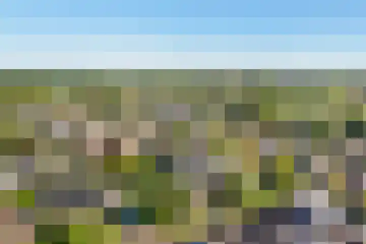 De Voorzoom 19 Buitenpost thumbnail 41