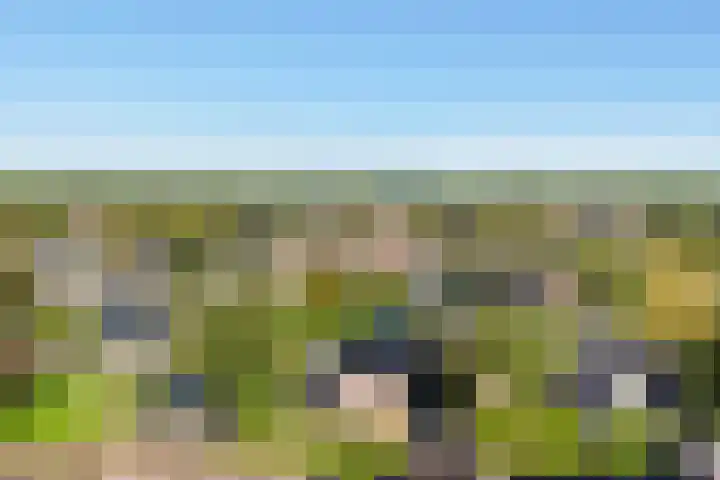 De Voorzoom 19 Buitenpost thumbnail 42