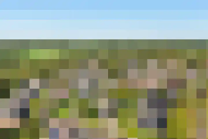 De Voorzoom 19 Buitenpost thumbnail 43