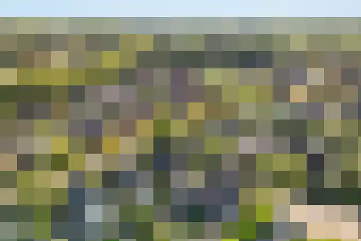 De Voorzoom 19 Buitenpost thumbnail 44