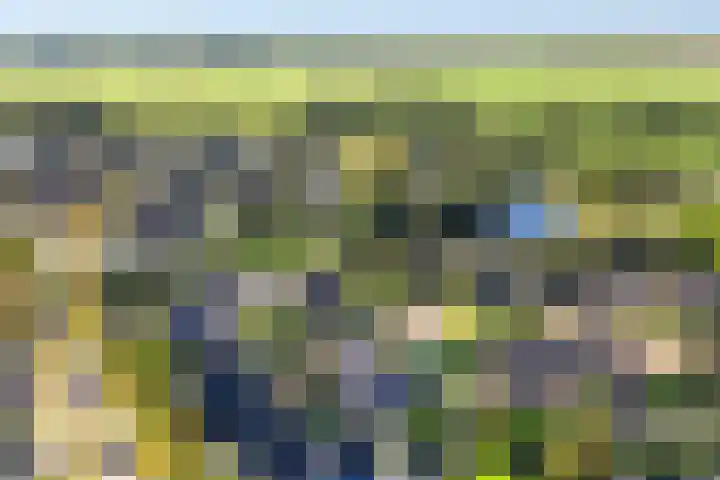 De Voorzoom 19 Buitenpost thumbnail 45