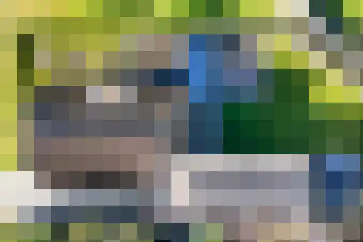 De Voorzoom 19 Buitenpost thumbnail 47