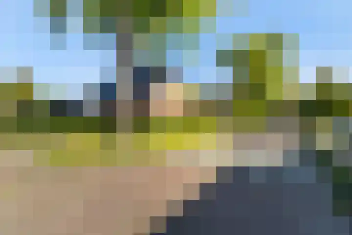 De Voorzoom 19 Buitenpost thumbnail 5