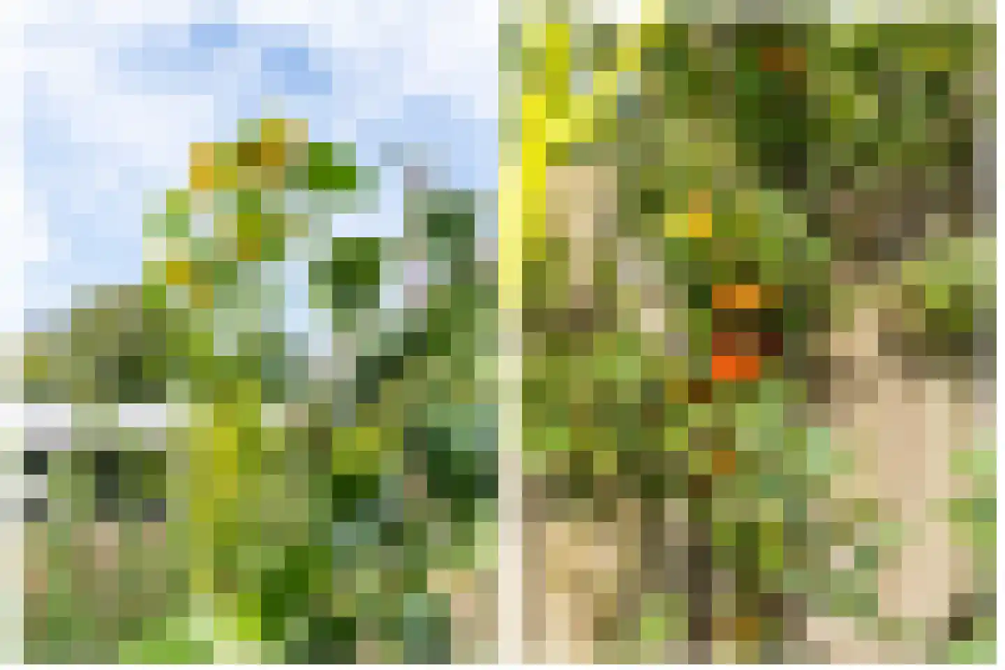 De Vooysplantsoen 1 Utrecht thumbnail 22