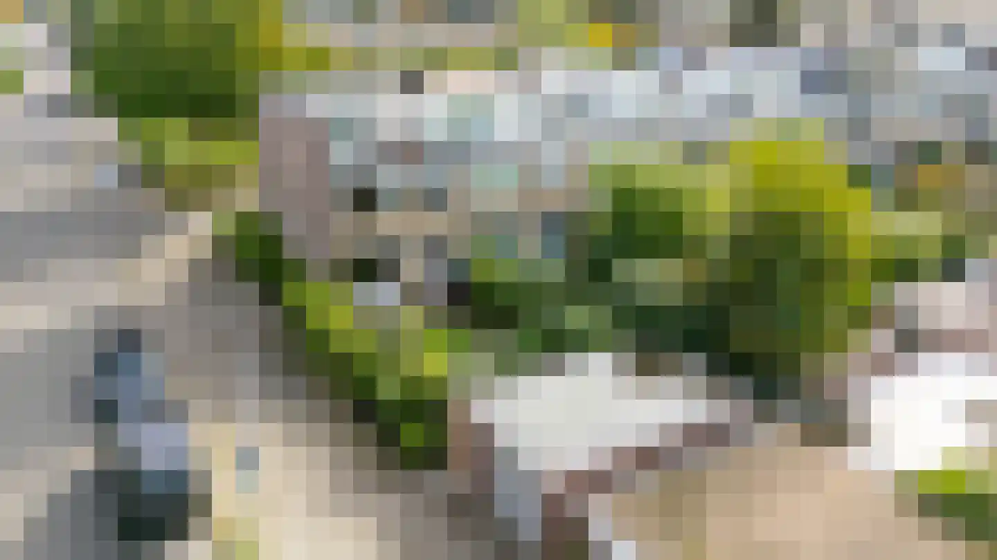 De Vooysplantsoen 1 Utrecht thumbnail 54