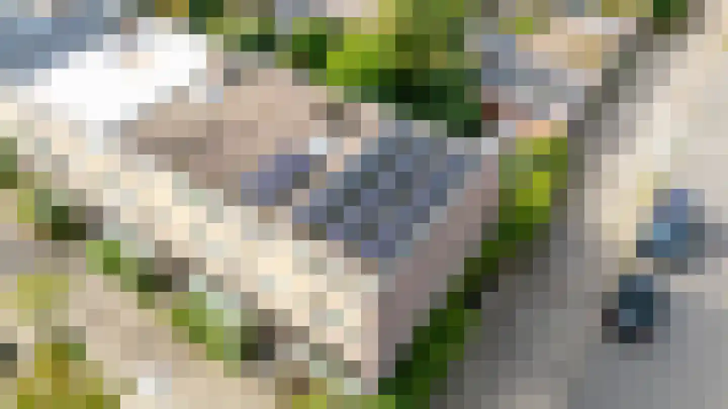 De Vooysplantsoen 1 Utrecht thumbnail 56