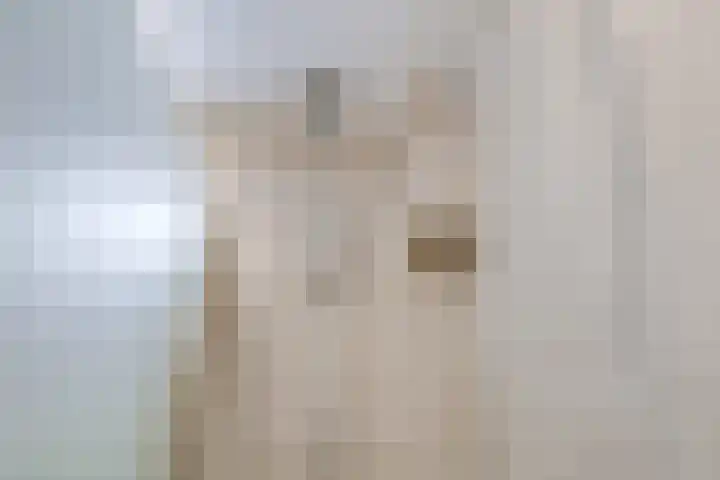 De Vooysplantsoen 14 Utrecht thumbnail 33