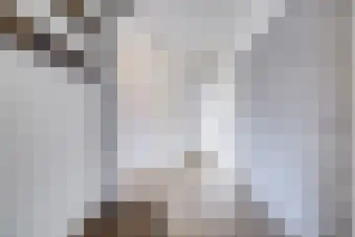 De Vooysplantsoen 14 Utrecht thumbnail 5