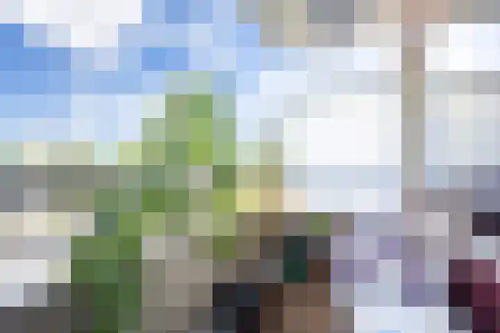 De Vooysplantsoen 16 Utrecht thumbnail 10