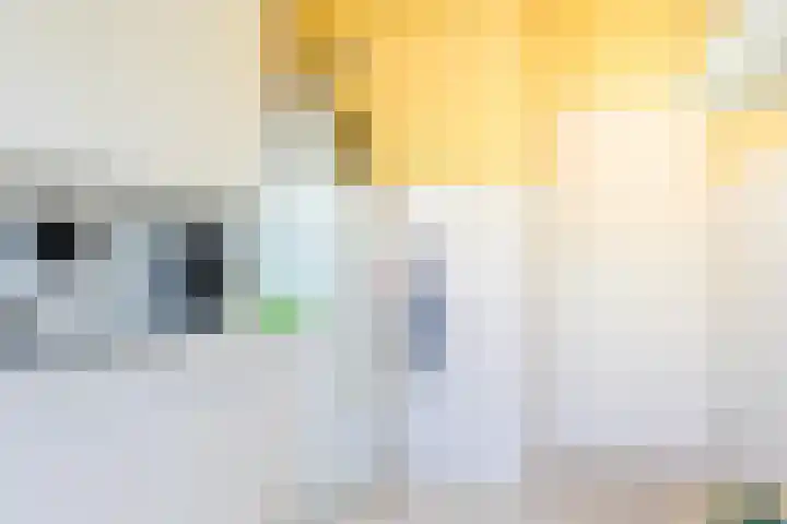 De Vooysplantsoen 16 Utrecht thumbnail 14