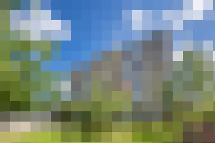 De Vooysplantsoen 16 Utrecht thumbnail 34