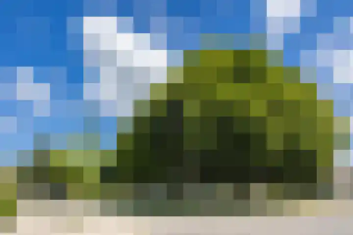 De Vooysplantsoen 16 Utrecht thumbnail 38