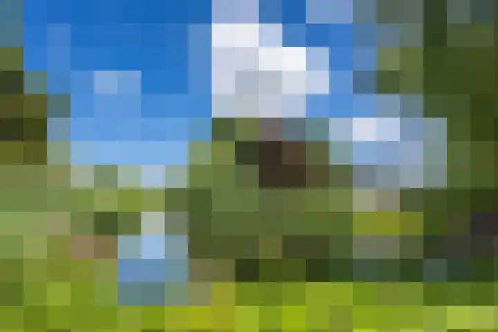 De Vooysplantsoen 16 Utrecht thumbnail 39