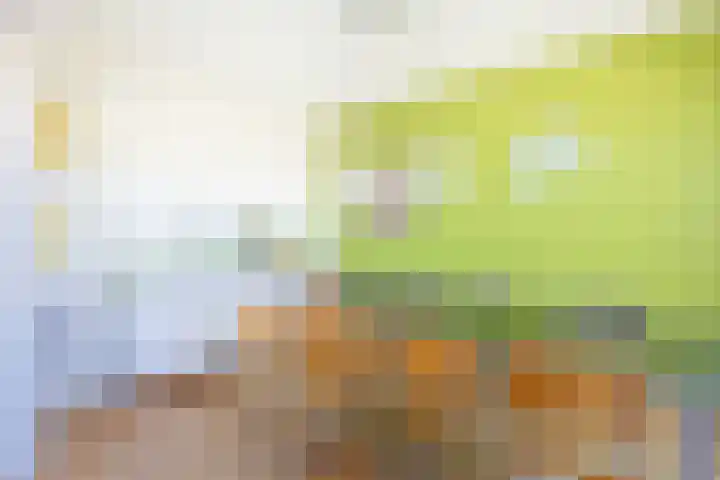 De Vooysplantsoen 16 Utrecht thumbnail 5