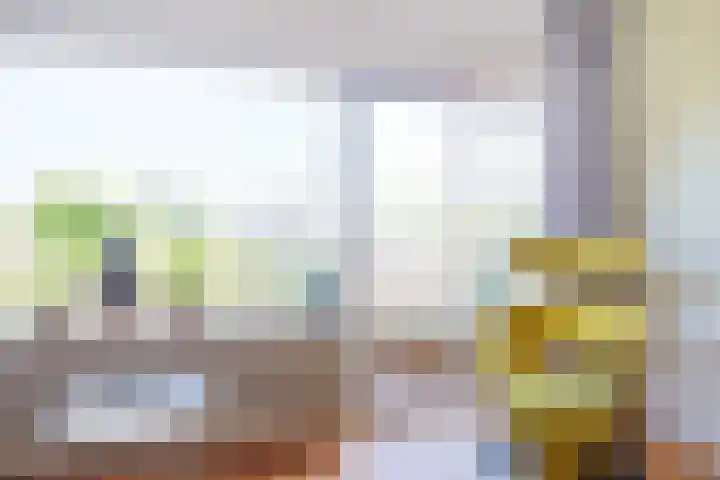 De Vooysplantsoen 16 Utrecht thumbnail 7