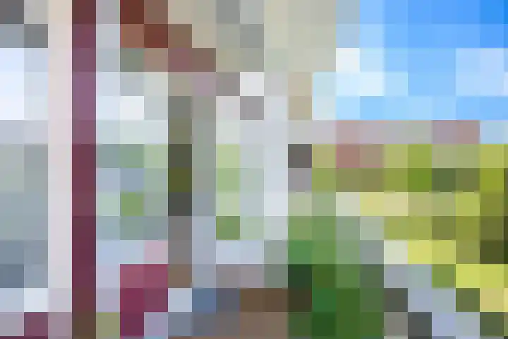 De Vooysplantsoen 16 Utrecht thumbnail 8