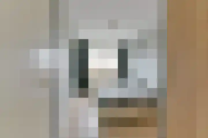 De Vooysplantsoen 31 Utrecht thumbnail 18