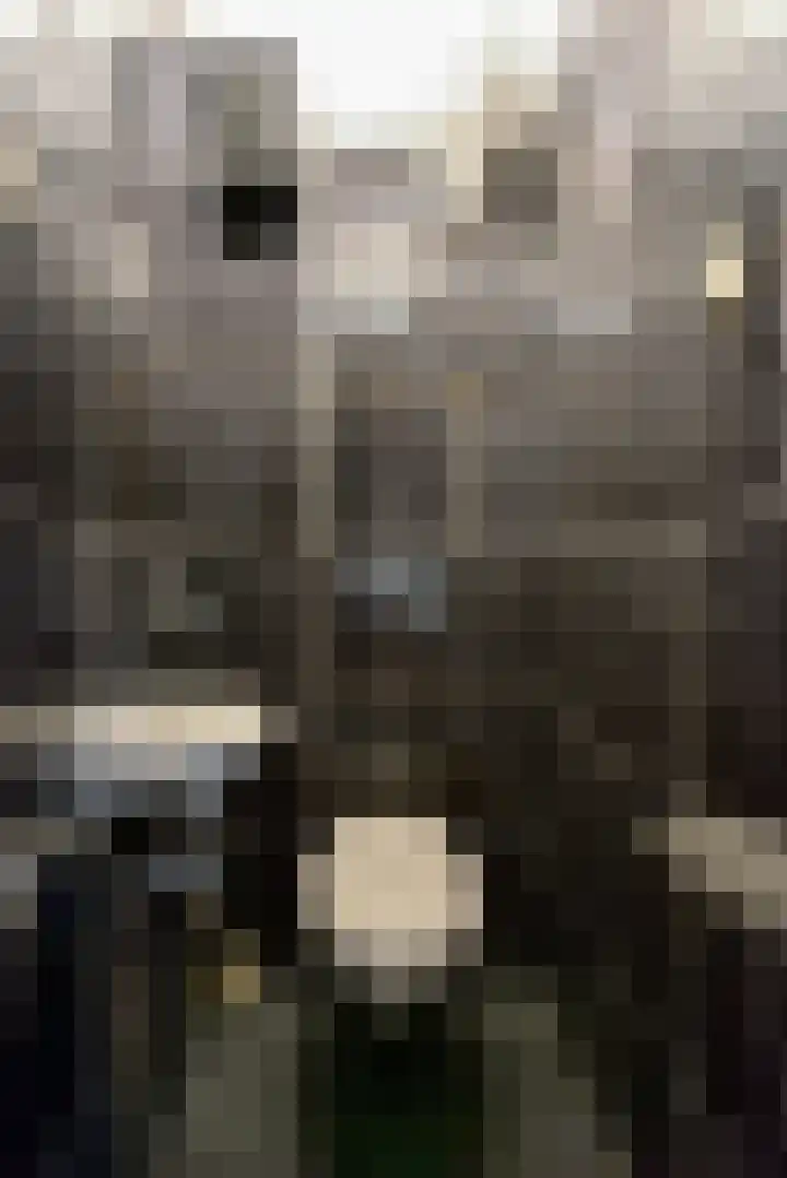 De Vooysplantsoen 31 Utrecht thumbnail 23