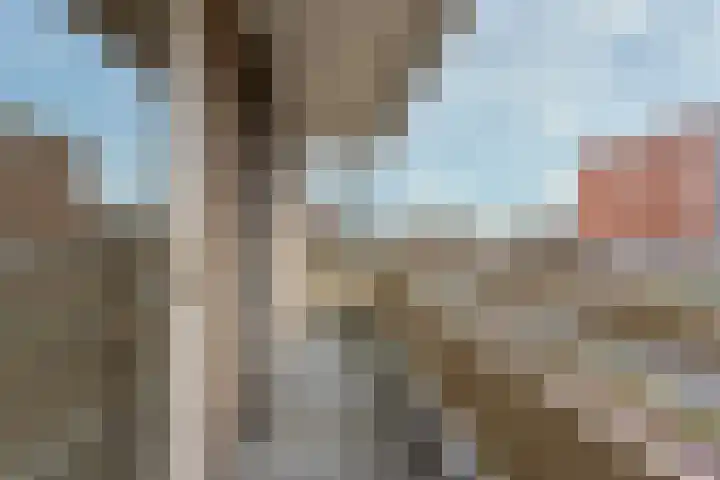 De Vooysplantsoen 31 Utrecht thumbnail 4