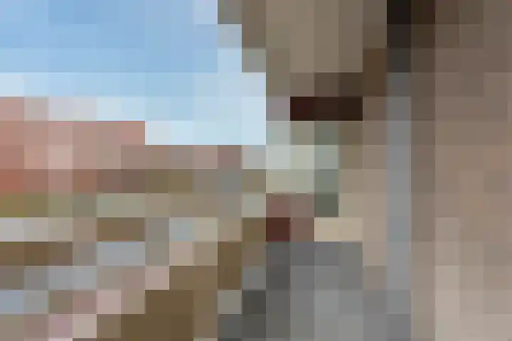 De Vooysplantsoen 31 Utrecht thumbnail 6