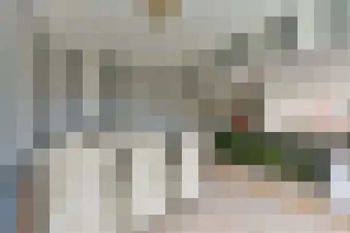 De Vooysplantsoen 31 Utrecht thumbnail 9