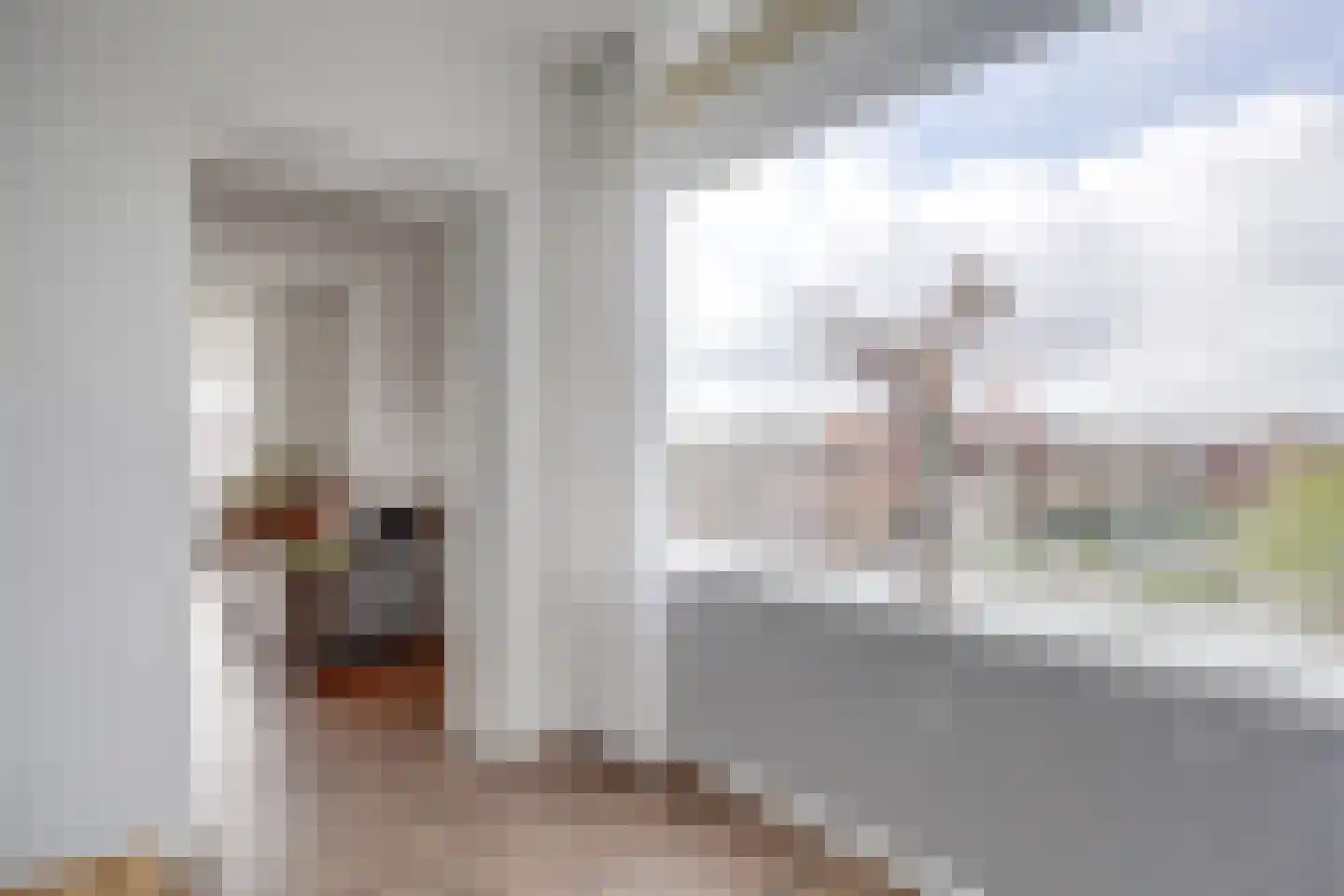 De Vooysplantsoen 39 Utrecht thumbnail 22