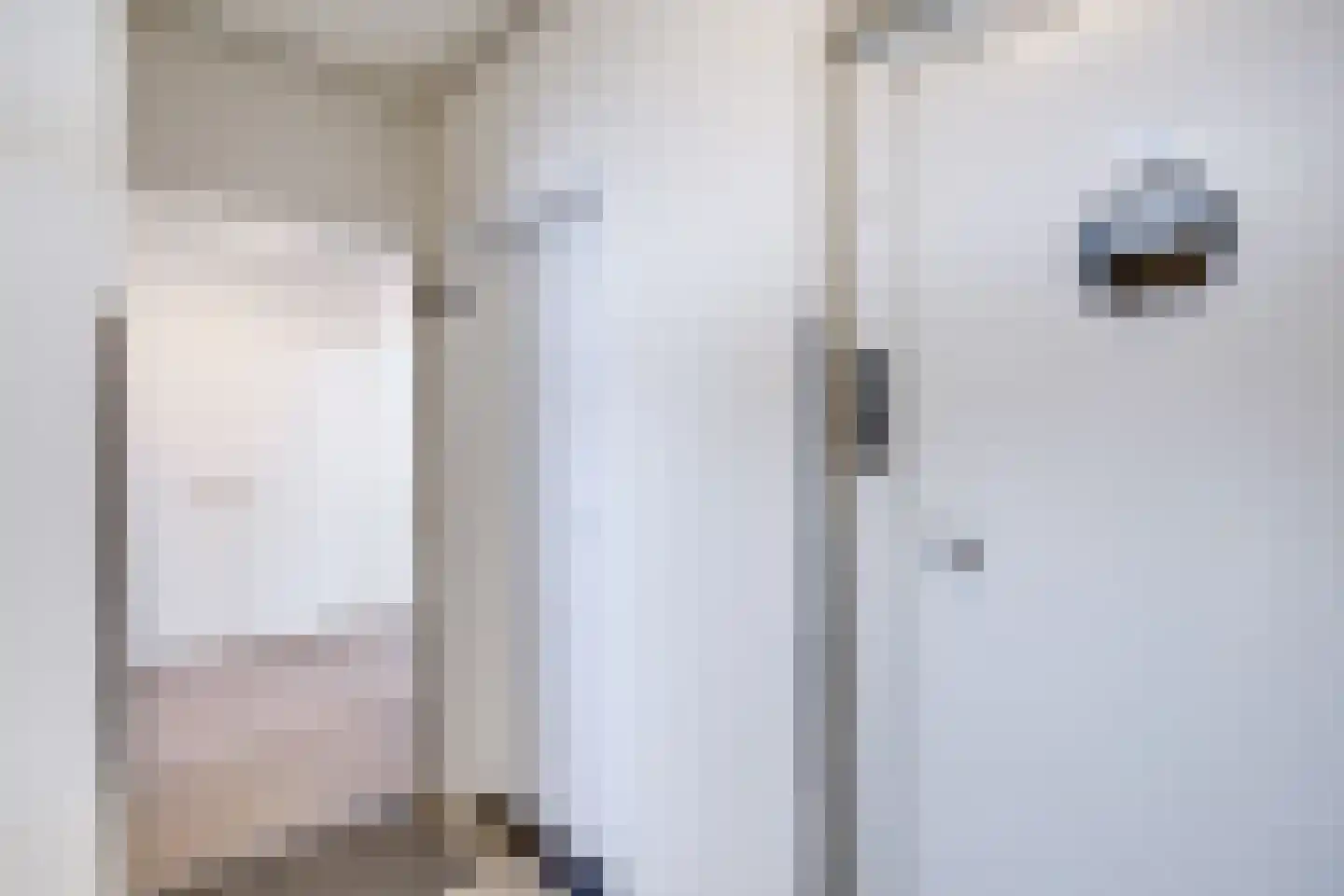 De Vooysplantsoen 39 Utrecht thumbnail 30