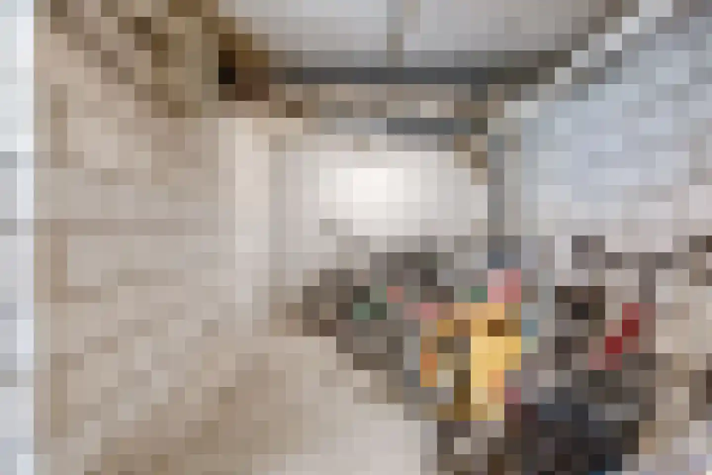 De Vooysplantsoen 39 Utrecht thumbnail 32