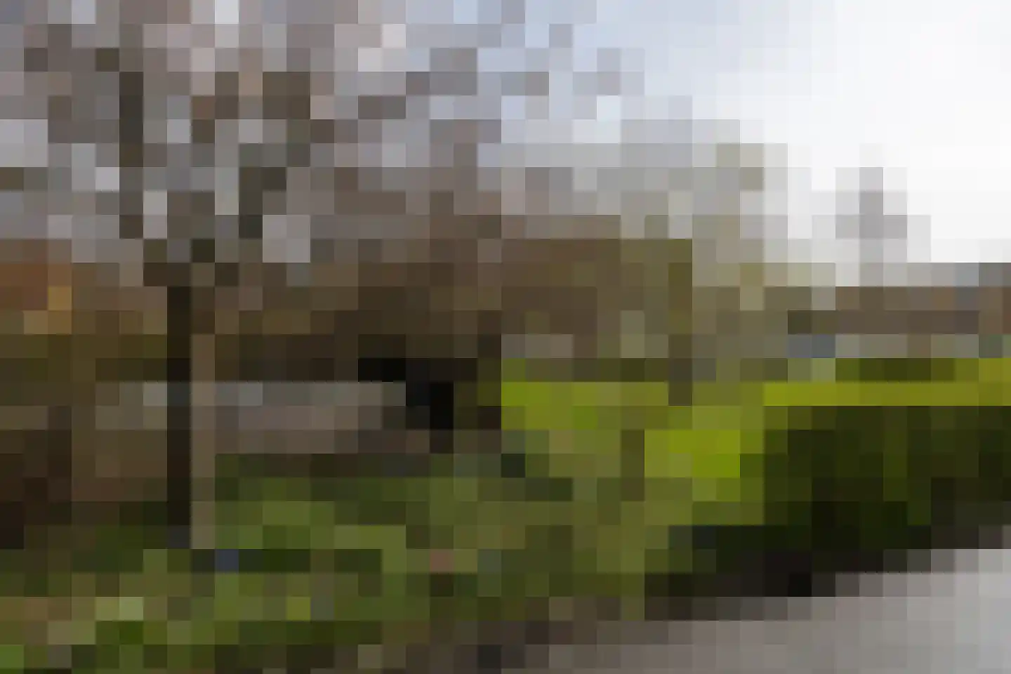 De Vooysplantsoen 39 Utrecht thumbnail 35
