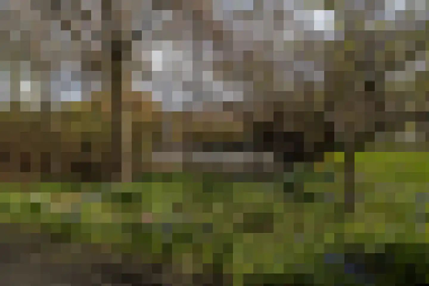 De Vooysplantsoen 39 Utrecht thumbnail 36