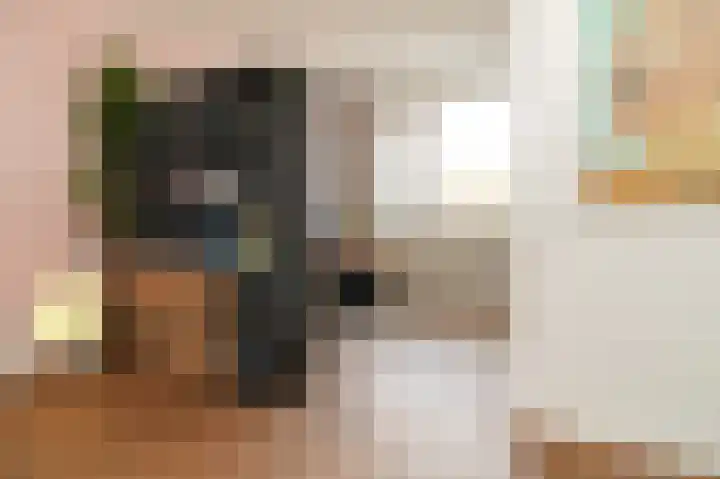 De Vooysplantsoen 58 Utrecht thumbnail 16