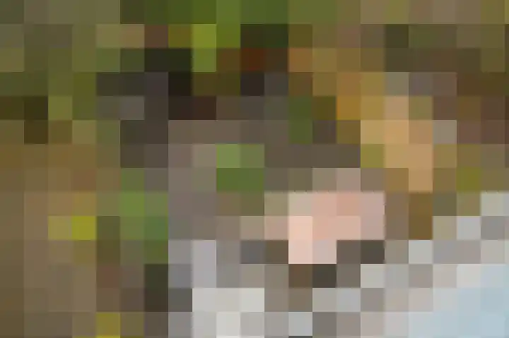 De Vooysplantsoen 58 Utrecht thumbnail 26