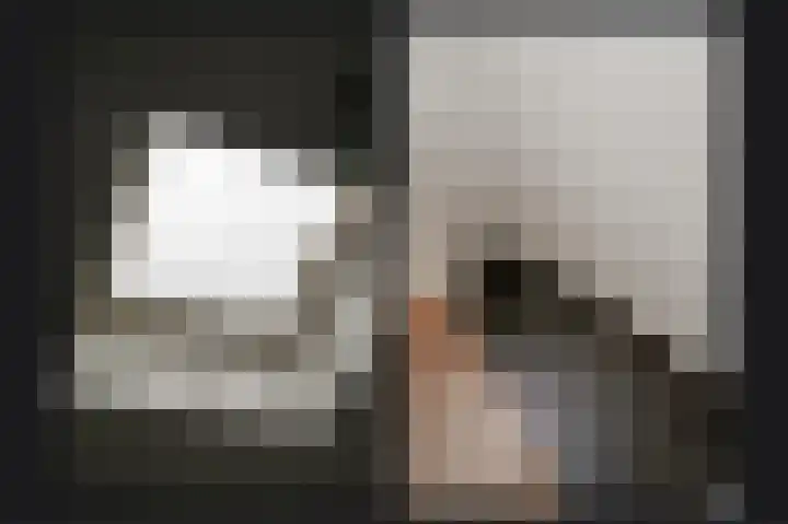 De Vooysplantsoen 58 Utrecht thumbnail 41