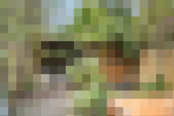De Vooysplantsoen 58 Utrecht thumbnail 42