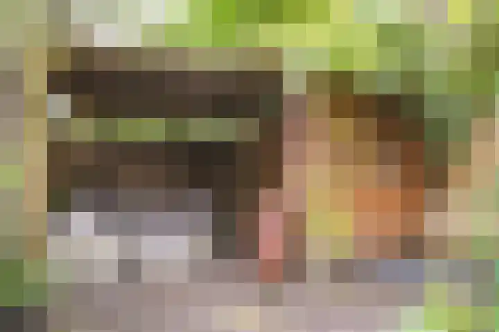 De Vooysplantsoen 58 Utrecht thumbnail 43