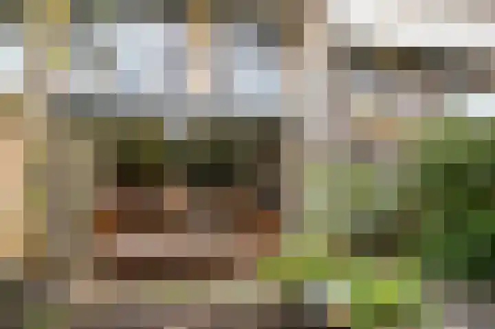 De Vooysplantsoen 58 Utrecht thumbnail 47