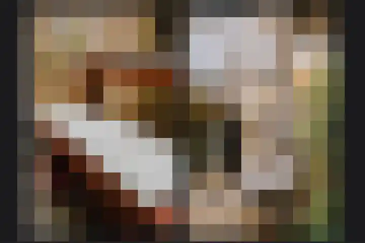 De Vooysplantsoen 58 Utrecht thumbnail 48