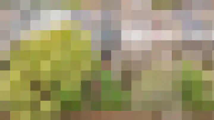De Vooysplantsoen 58 Utrecht thumbnail 55