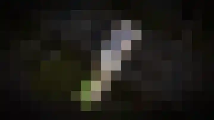 De Vooysplantsoen 58 Utrecht thumbnail 56
