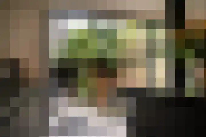De Vooysplantsoen 58 Utrecht thumbnail 9