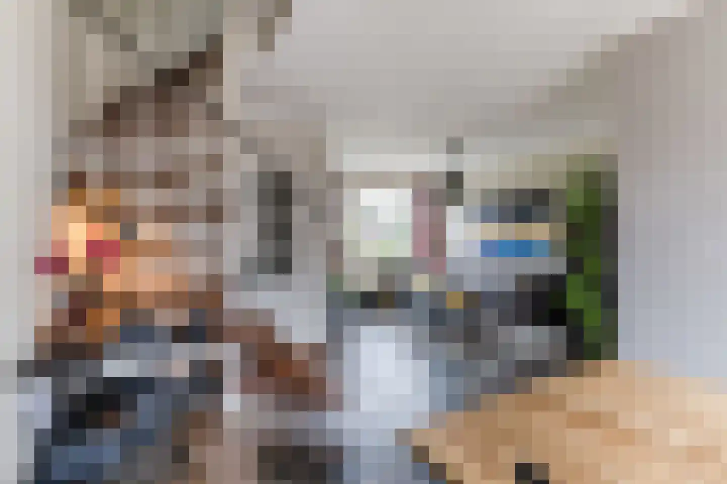 De Voren 1 Hapert thumbnail 10