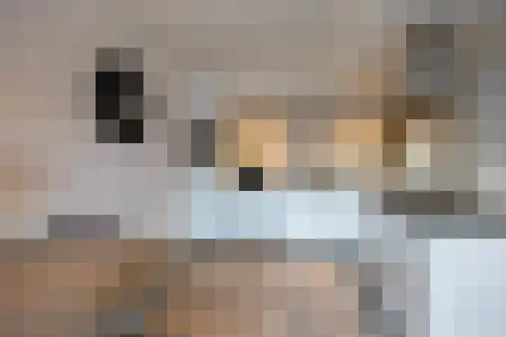 De Voren 1 Hapert thumbnail 10
