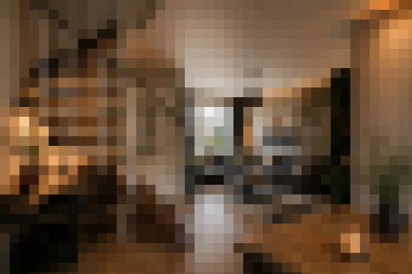 De Voren 1 Hapert thumbnail 11