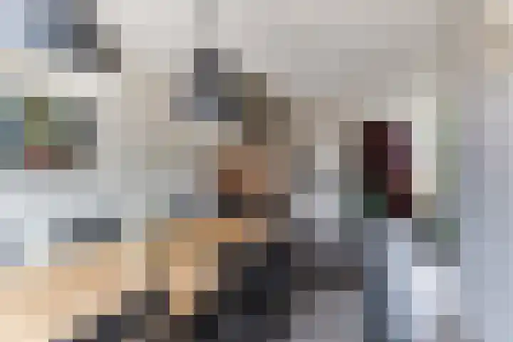 De Voren 1 Hapert thumbnail 12