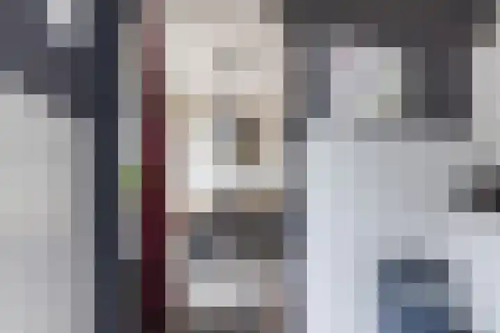 De Voren 1 Hapert thumbnail 17