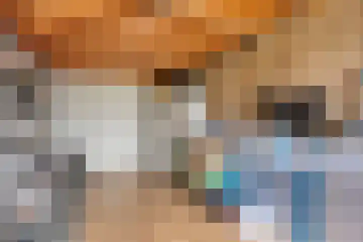 De Voren 1 Hapert foto 2